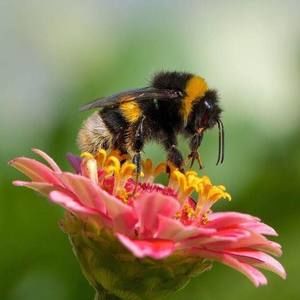 Meet your Posher, Judy